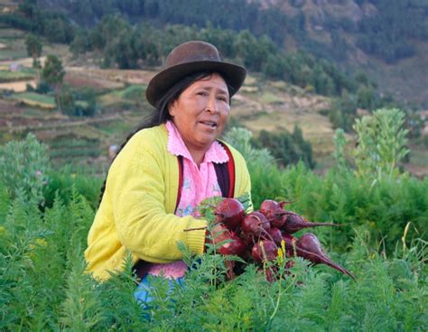 Leisa Taller Nacional De Mujeres Rurales Actores Claves En La Agricultura Familiar Y Seguridad