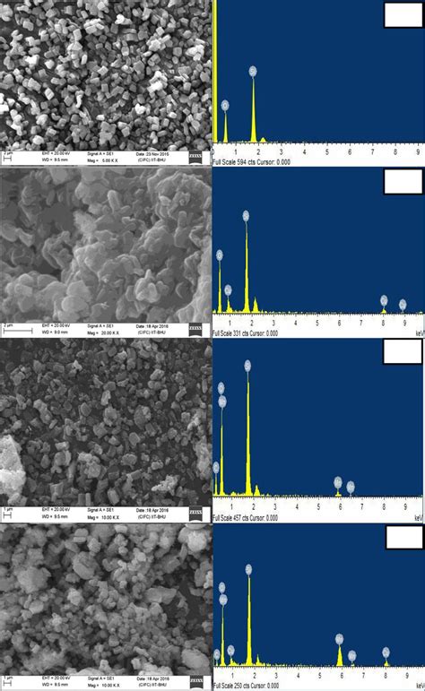 Scanning Electron Microscopy Sem And Edx Analysis Of A Sba 15 B