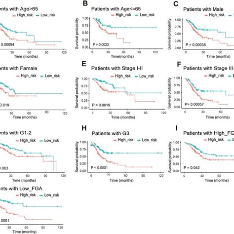 Independent Prognostic Analysis Of The Risk Assessment Model And