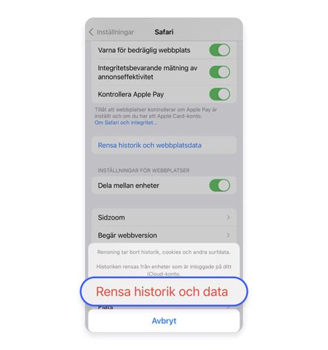 Så rensar du cachen på en iPhone En enkel steg för steg guide NordVPN