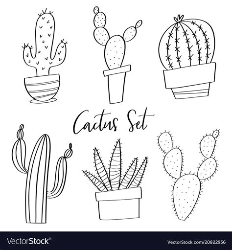 Hand Drawn Cactus Set Doodles Royalty Free Vector Image