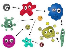 What is a Polymorphic Virus? Explanation and Prevention