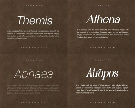 Sans Serif Italic Font Bundle Modern Sans Serif Italic Fonts OTF