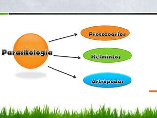 Generalidades De La Parasitologia PPT