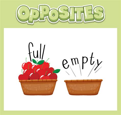 palabras inglesas opuestas  lleno  vacio  vector en vecteezy