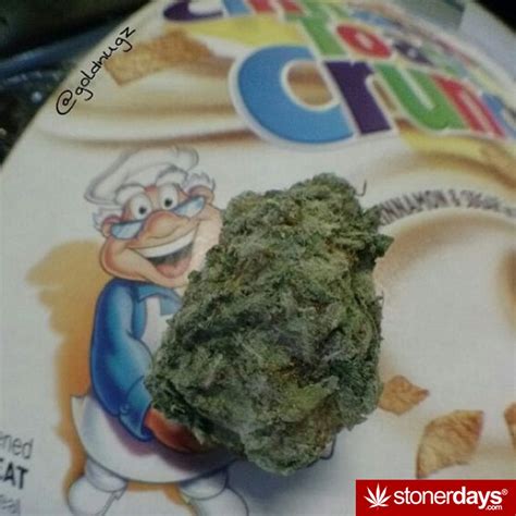 Stoners Daily Wake N Bake Stoner Pictures Pics Of Pot