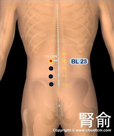 腎俞穴可改善腰背酸痛腎臟病高低血壓 雲端中醫養生