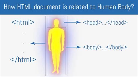 Html Document Structure Edopedia