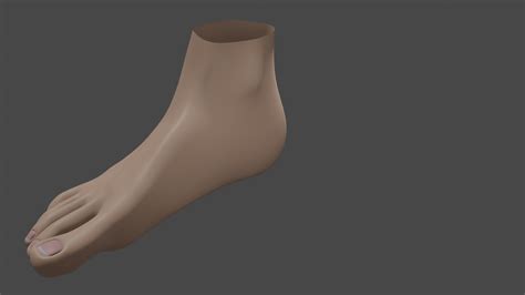 Female Feet 3d Model 20 Blend Fbx Free3d