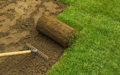 Decatur Ga Lawn Service Landscaping Druid Hills Landscaping Design Ideas