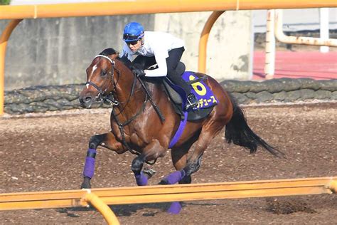 【宝塚記念】1週前追い ドウデュースは武豊騎手を背に3頭併せで豪快先着ラスト10秒8「ファン投票1位に応えたい」 サンスポzbat