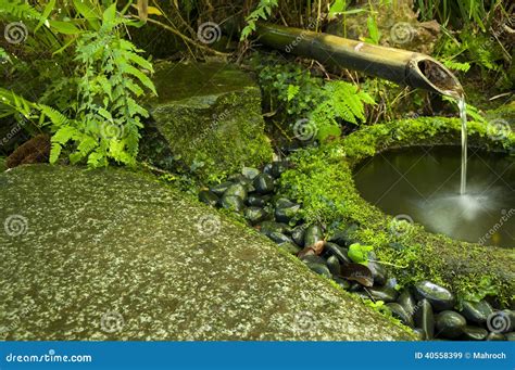 Japanese Water Bamboo Fountain Stock Image | CartoonDealer.com #40558399