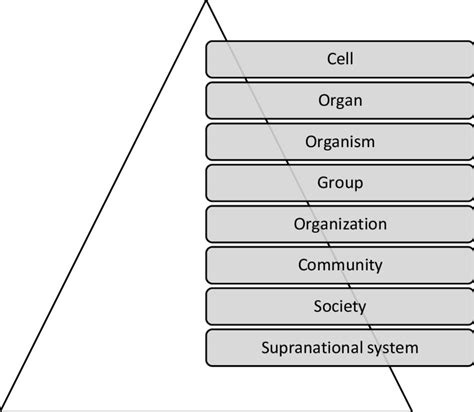 Gambar 4 8 Levels Of Living System Download Scientific Diagram