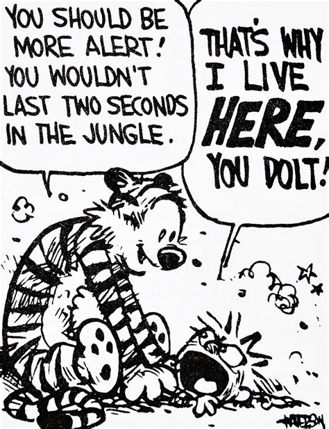 Calvin And Hobbes De S Classic Pick Of The Day You Should