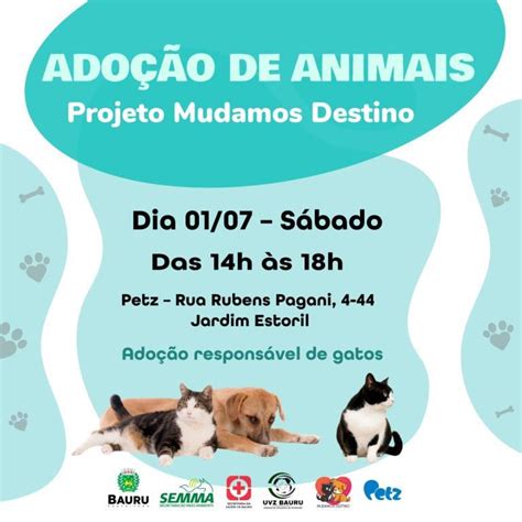 Evento De Ado O De Gatos Ser Neste S Bado Prefeitura Municipal De Bauru