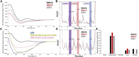 Thermodynamic Analysis Of An Entropically Driven High Affinity