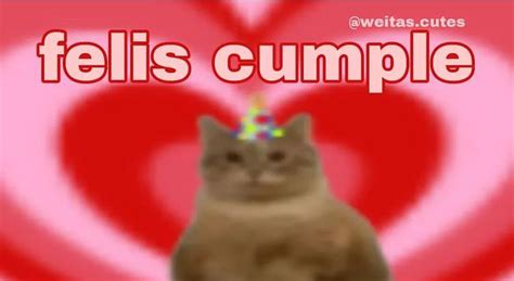 Pin En Bday Templates Humor De La Vida Memes Divertidos Insultos