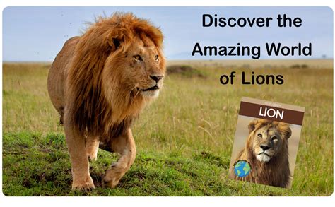 Lion: Fascinating Animal Facts for Kids (This Incredible Planet ...