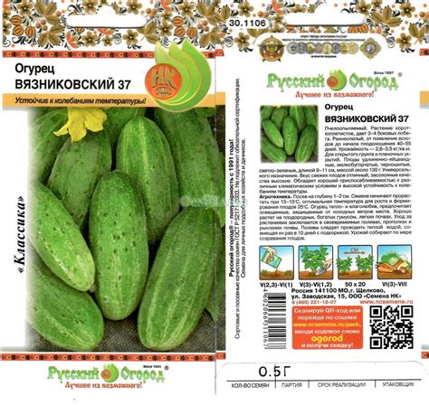 Огурец вязниковский 37: отзывы и фото, характеристика и описание сорта ...