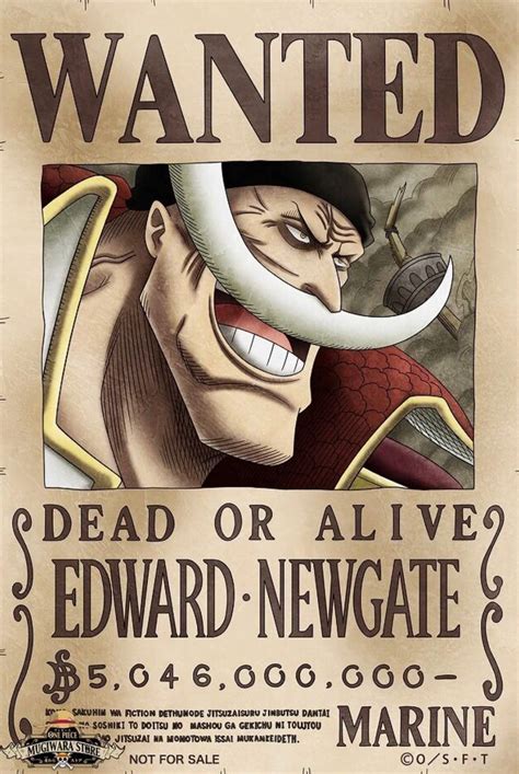 Edward Newgate Aka Prime Whitebeard Wiki One Piece Amino