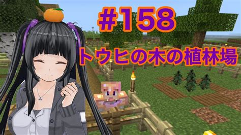 【マイクラ実況】トウヒの木の植林場 Part158【minecraft】【カスタムキャスト】【vtuber】 Youtube