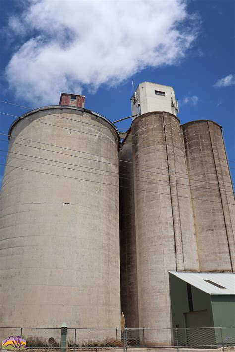 World Renowned Artist Commissioned For Silo Project Horsham Rural