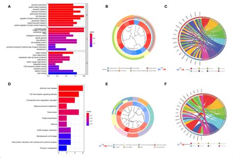 Graph Depicting The Findings Of The Enrichment Analysis A Go