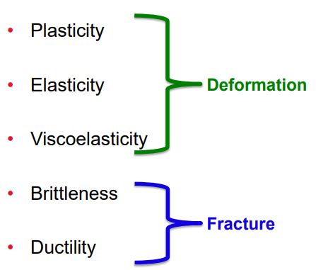 Material Properties Of Solid Dosage Forms Flashcards Quizlet