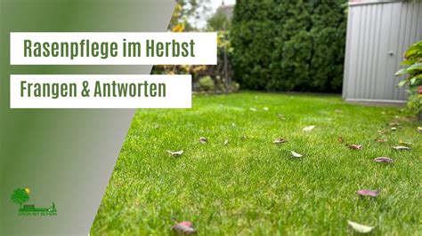 Rasenpflege Im Herbst Was Braucht Der Rasen Im Herbst Nachs En