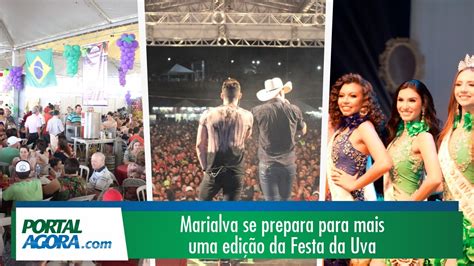 Marialva Se Prepara Para Mais Uma Edi O Da Festa Da Uva