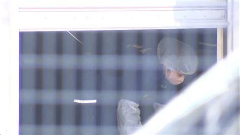 遺体は千葉県の15歳女子高校生かレンタカー後部座席で発見 体に複数のあざ 28歳男を栃木県で逮捕 ライブドアニュース