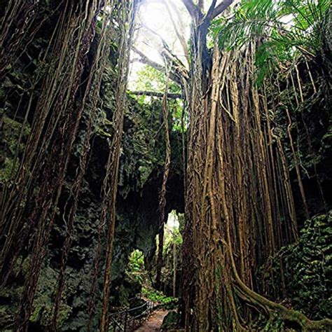 Play Naked Force By Naked Force On Amazon Music