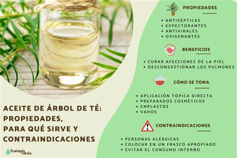 Aceite De Rbol De T Propiedades Para Qu Sirve Y Contraindicaciones