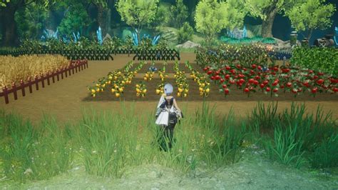 Harvestella - Best Crops To Plant, Farming Guide | Cozy Gaming Panda