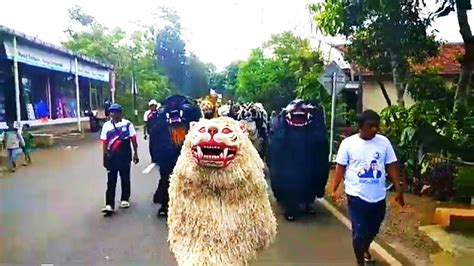 Ini Macan Ba Lakek Diiringi Drumband Ba Lakek Arak Arakan Kejar Kejar