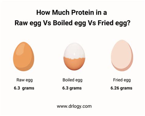 How Much Protein In One Egg Egg White And Egg Yolk Drlogy