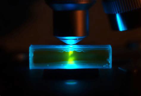 Fluorescence Microscopy: 5 Important Facts You Should Know – Lambda Geeks