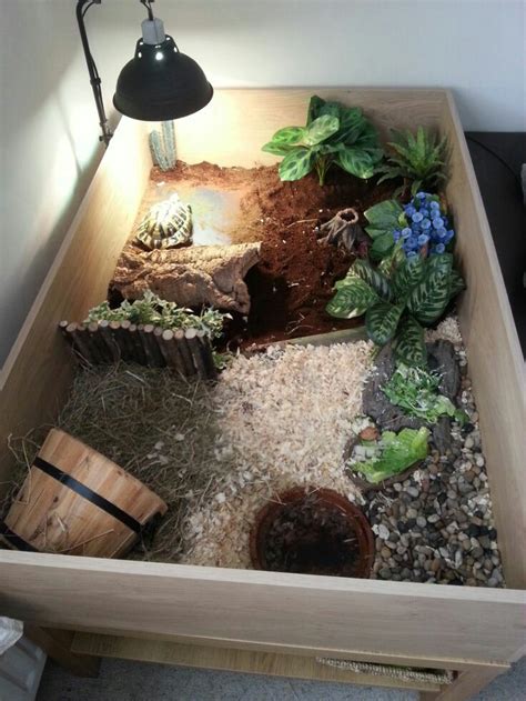 Indoor Tortoise Tables