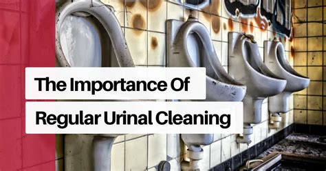 The Importance of Regular Urinal Cleaning