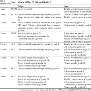 Muscle Mri Pattern Of Muscle Involvement In Nemaline Patients