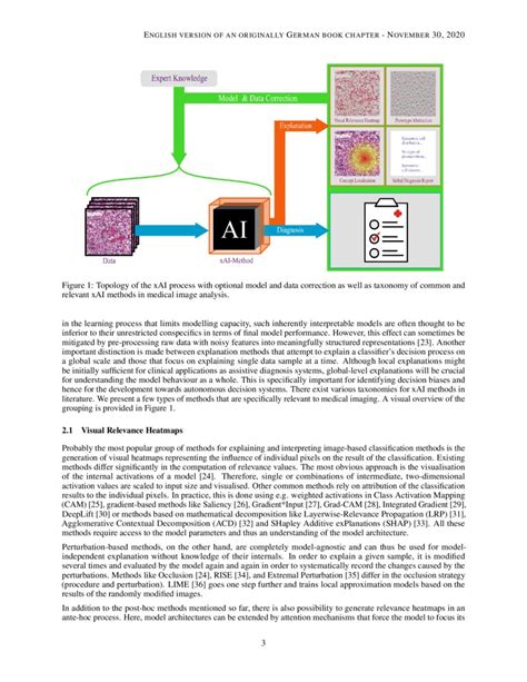 Achievements And Challenges In Explaining Deep Learning Based Computer Aided Diagnosis Systems