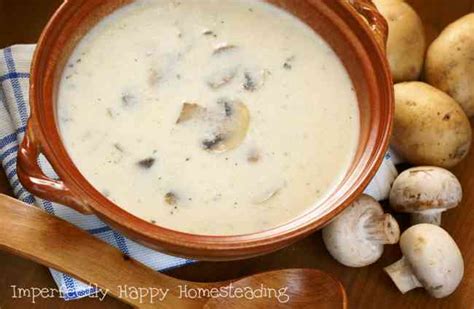 Homemade Gluten Free Cream Of Mushroom Soup Recipe