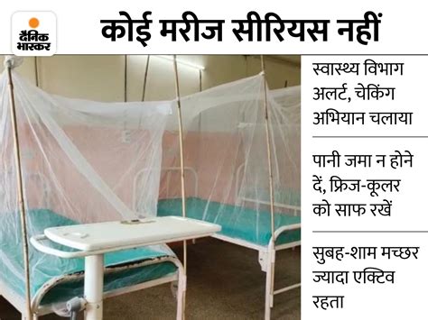 Karnal News So Far 71 Cases Of Dengue Have Been Reported In Karnal