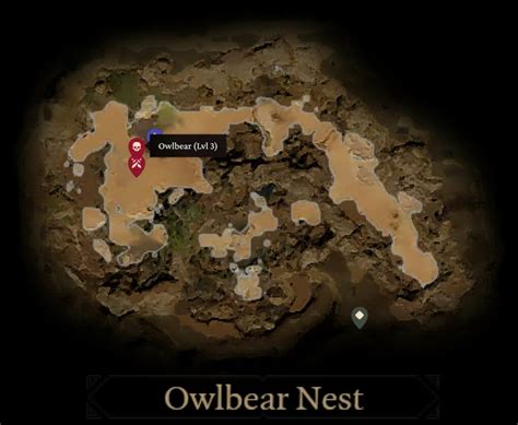 What To Do With Owlbear Egg In Baldur's Gate 3: Keep Or Sell?