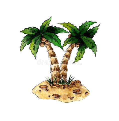 Watercolor Illustration Two Palm Trees With Coconuts On A Sandy Island