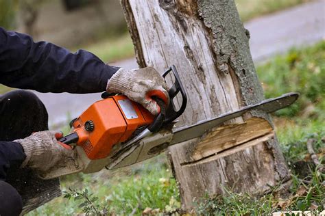 How To Safely Cut Down A Tree