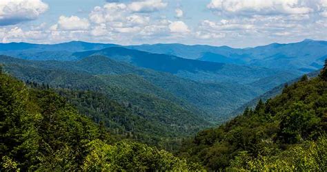 Best Smoky Mountain Attraction | Guided Tour of Newfound Gap | Pink ...