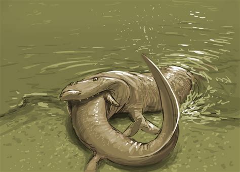 Cannibalism In Tiktaalik Rnaturewasmetal