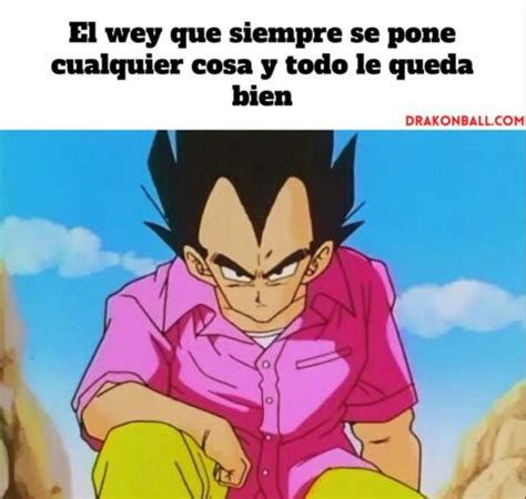 Los Mejores Memes De Vegeta