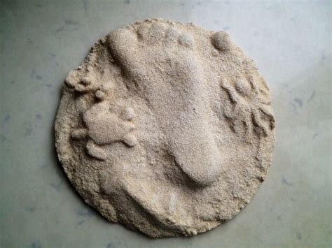 Sand Cast Plaster Fossils